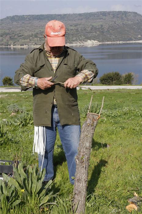 Potature piante 2012