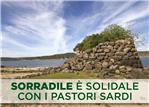 Foto Solidarieta pastori