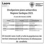 MANIFESTO LAORE